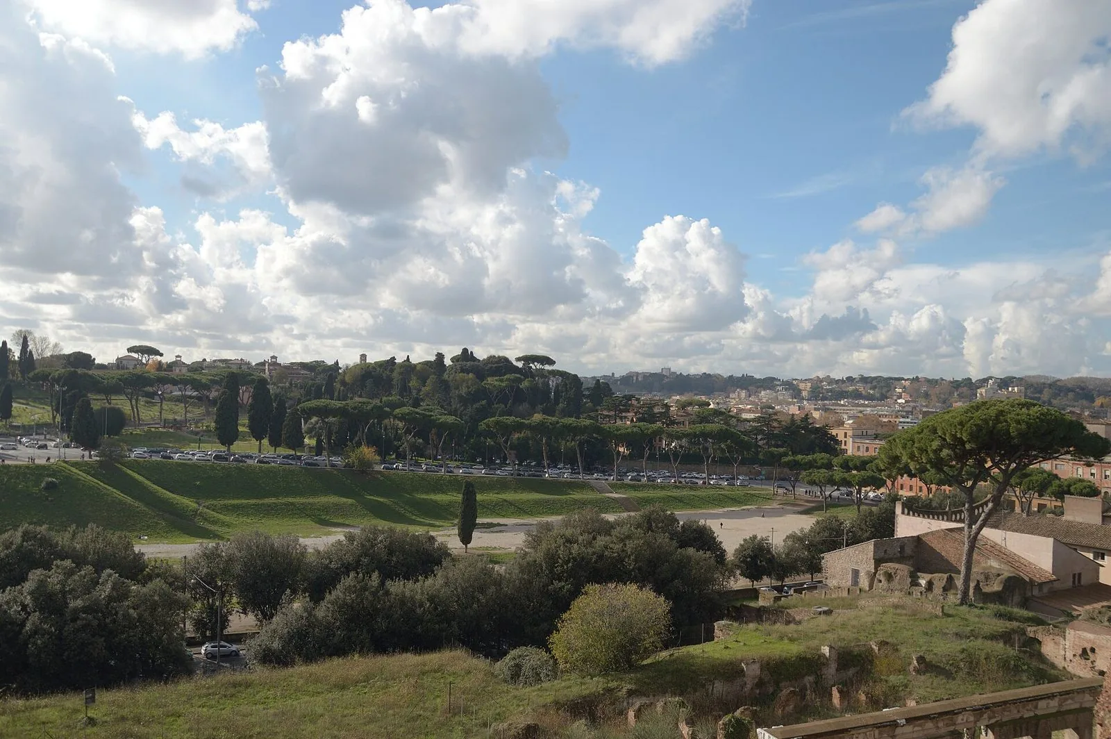 La grande spianata erbosa del Circo Massimo vista dall'alto del Palatino, con pini domestici, i resti antichi in primo piano e l'Aventino sotto un cielo con nuvole